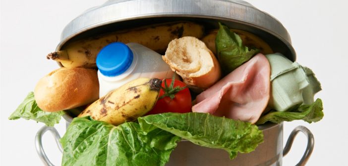 justicia alimentaria